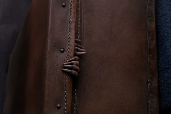 Кадр фильма Фантастические твари и где они обитают
