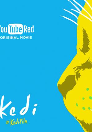 Постер фильма Город кошек