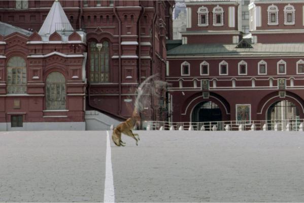 Кадр фильма Фантом