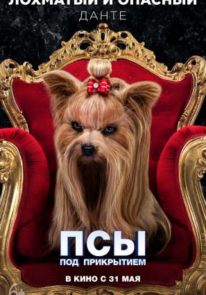 Постер фильма Псы под прикрытием