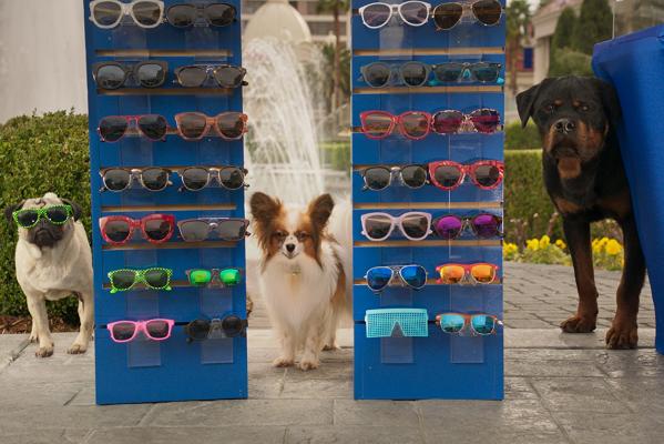 Кадр фильма Псы под прикрытием