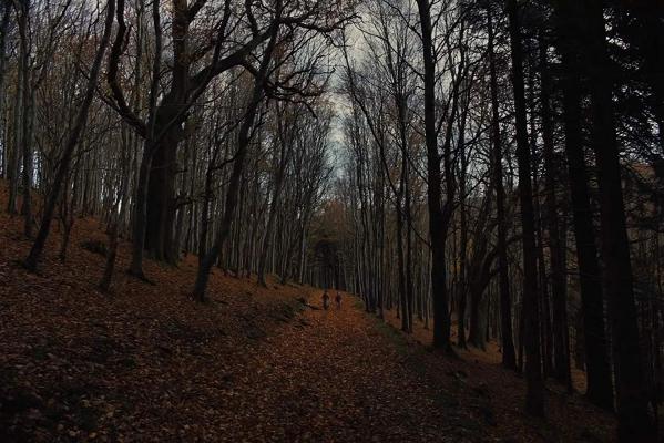 Кадр фильма Гретель и Гензель