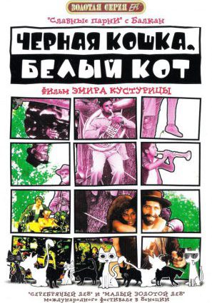 Постер фильма Черная кошка, белый кот